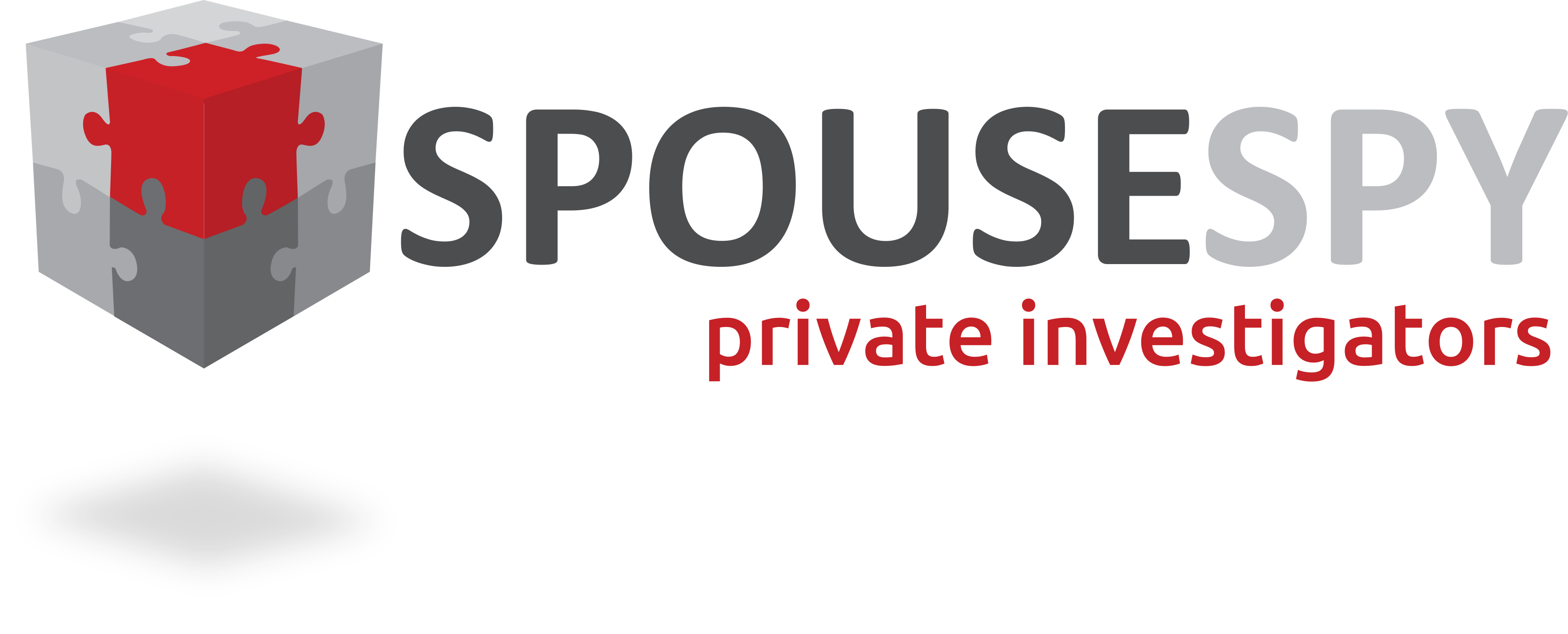 Spouse Spy Private Investigators cover photo