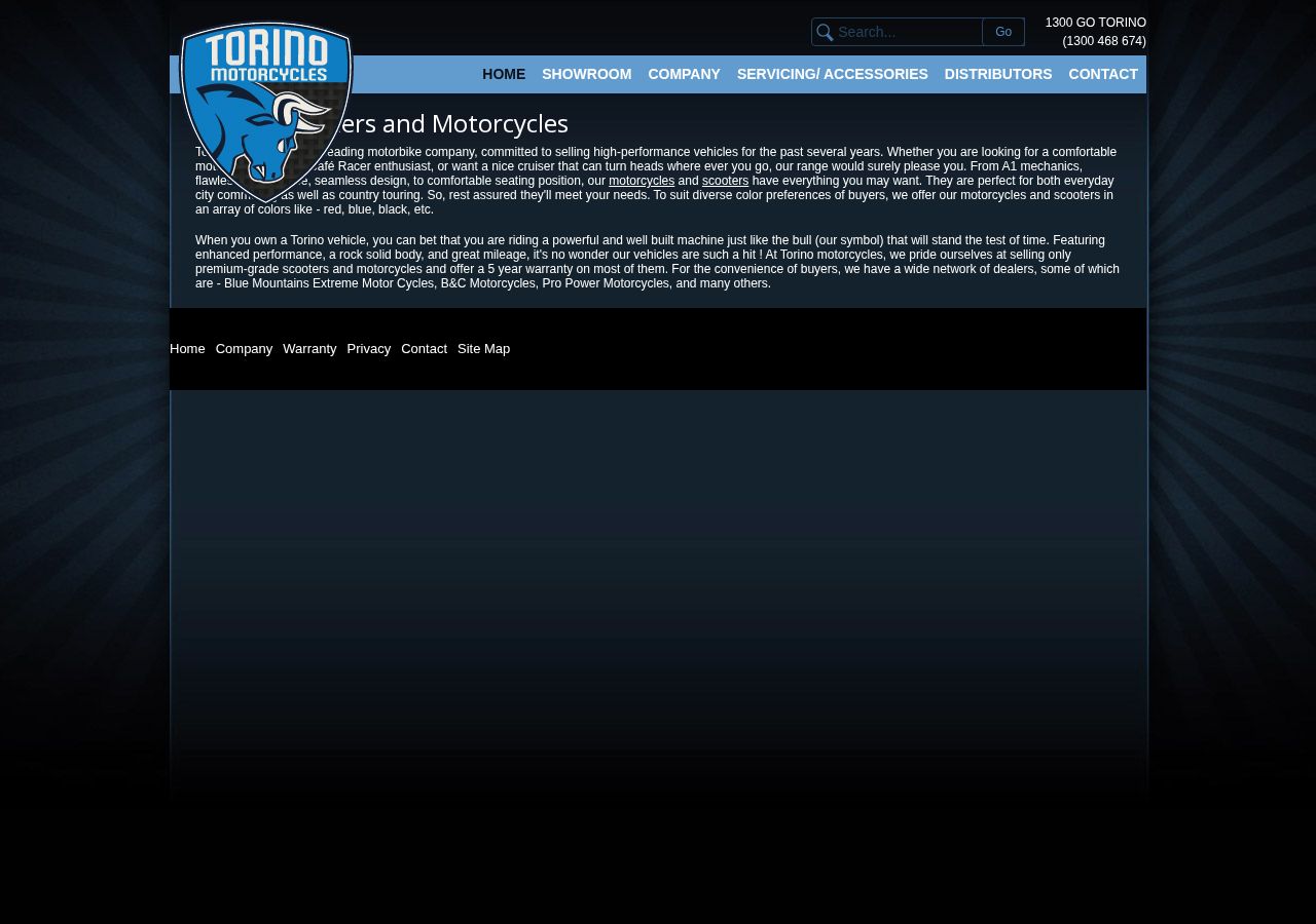 Torino Motorcycles website