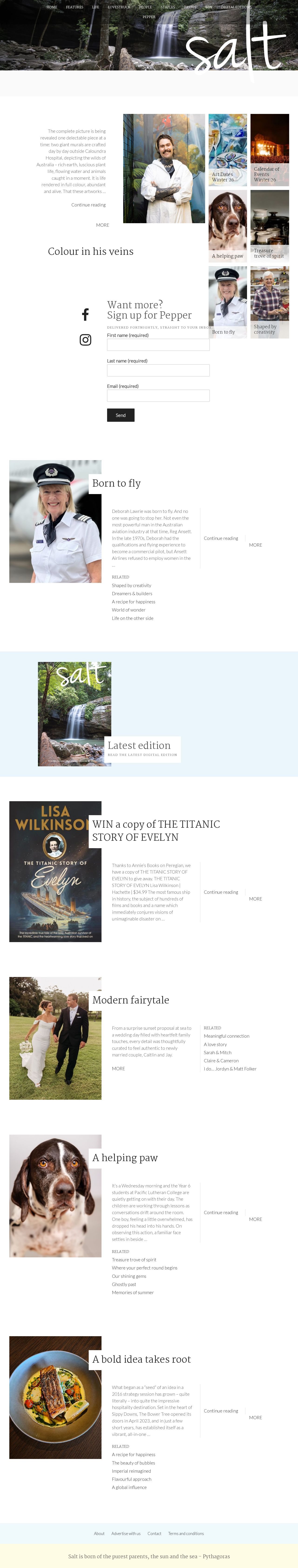 Salt Magazine website