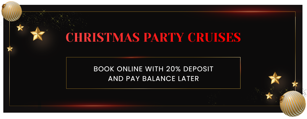 Sydney Christmas Party Cruises cover photo
