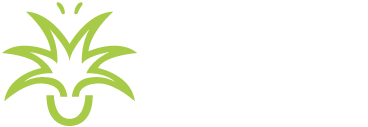 Indoor Plant Hire Sydney