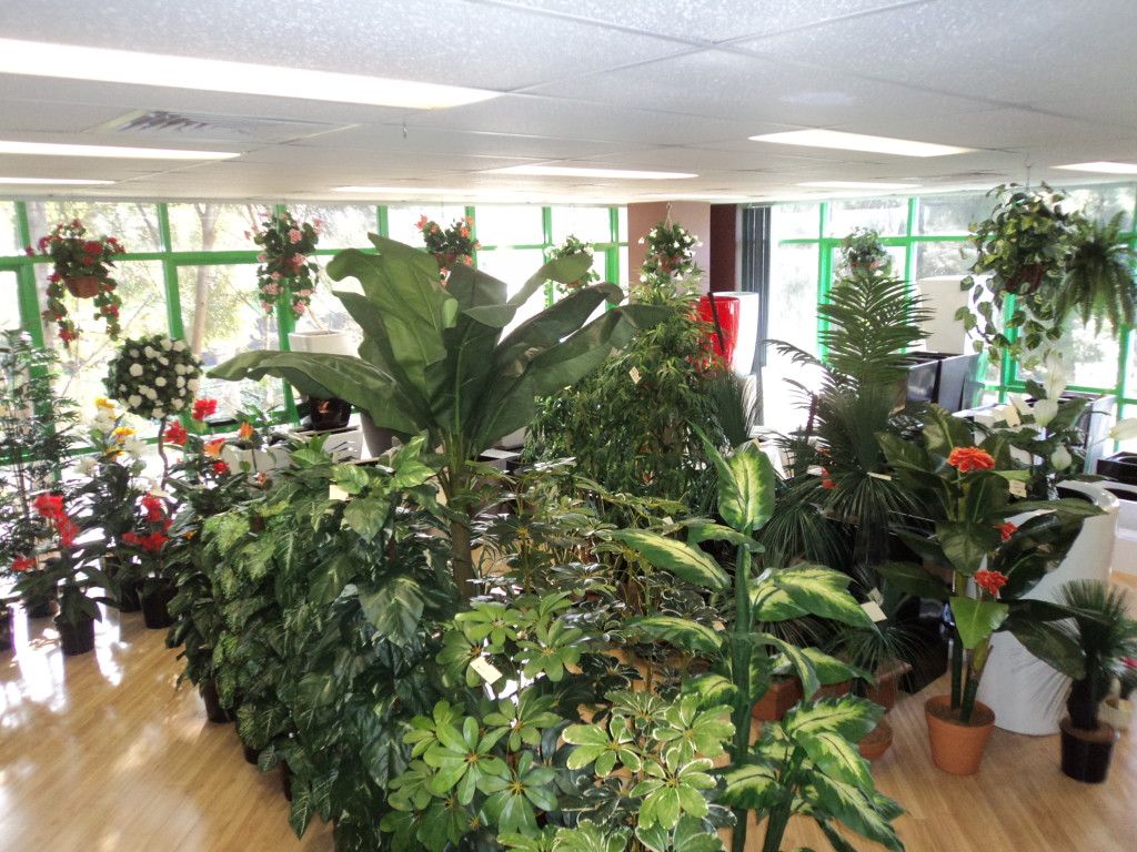 Growum Holdings Pty Ltd cover photo