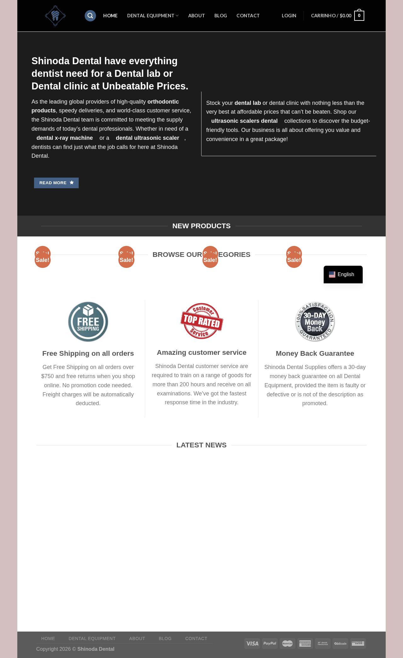 Shinoda Dental website