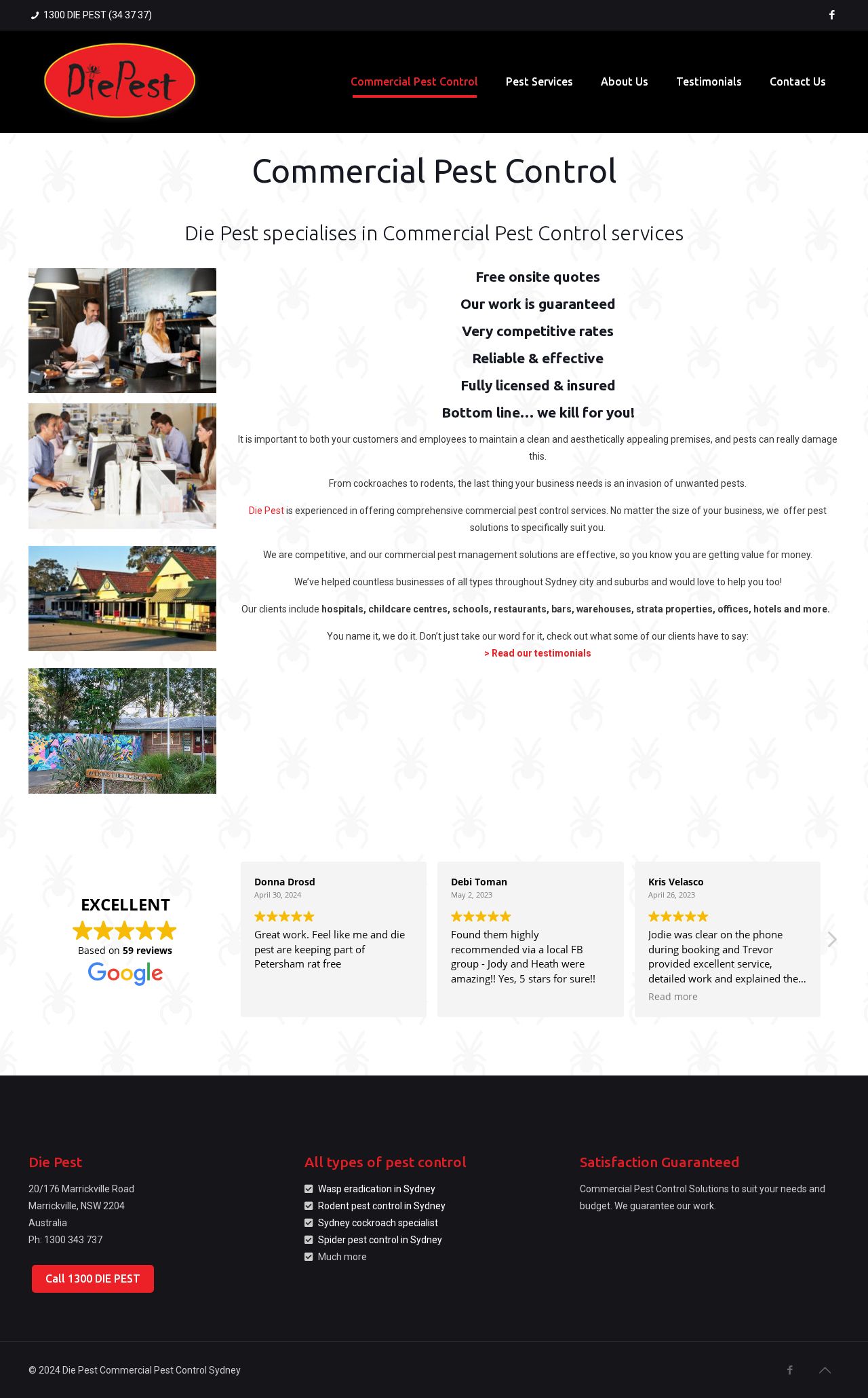 Die Pest website