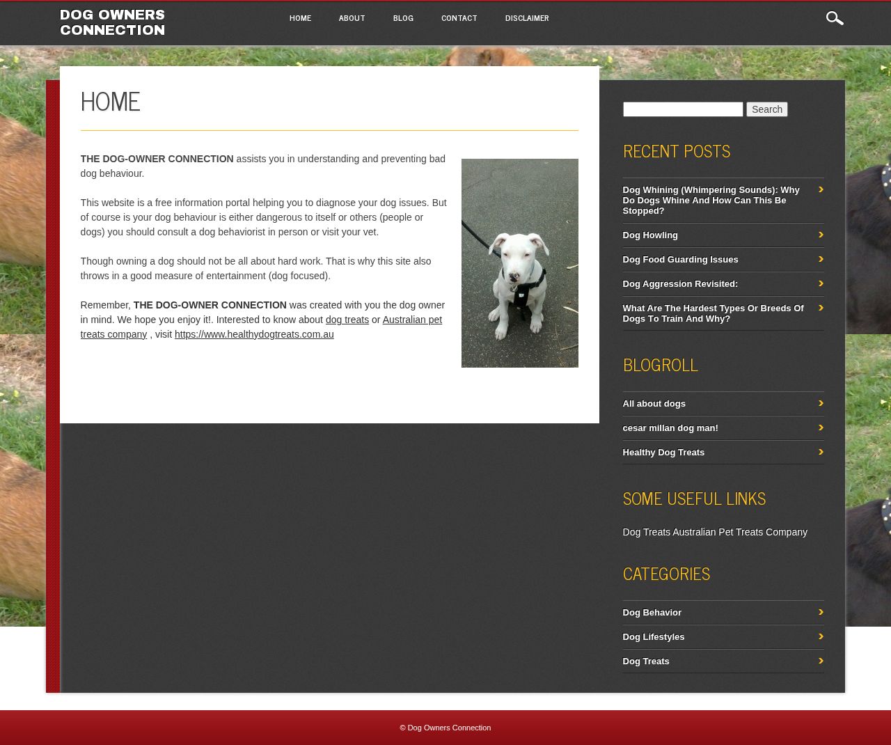 Dog Owner Connection website