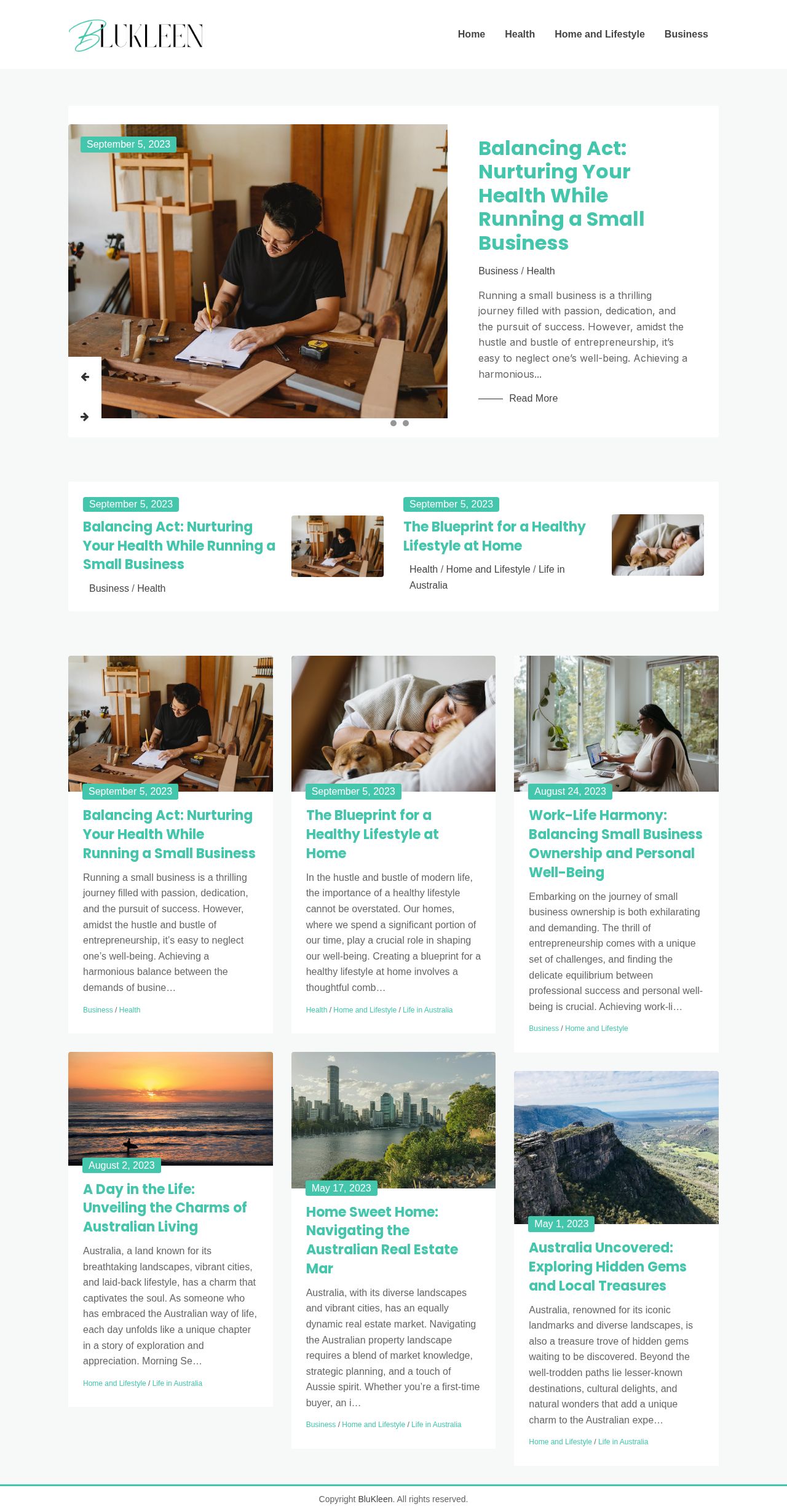 Blukleen Solutions website