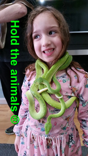 Melbourne Reptile Parties cover photo