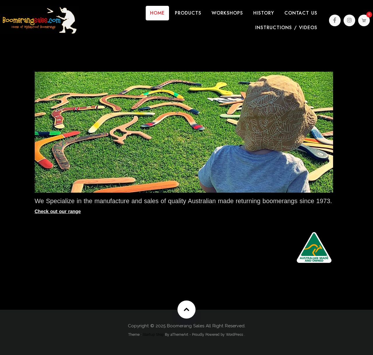 Boomerangs website