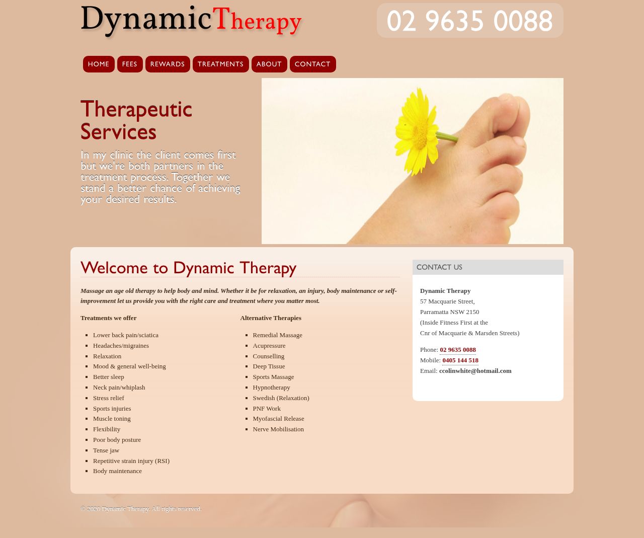 Dynamic Therapy website
