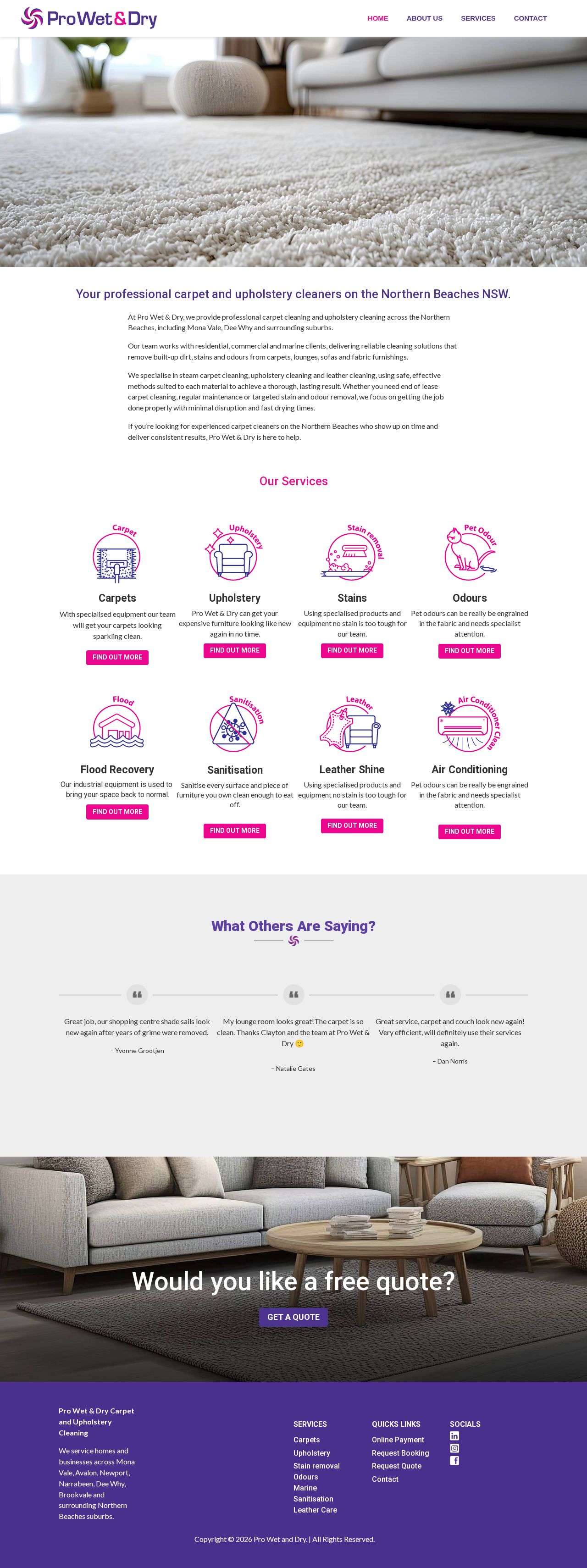 Pro Wet & Dry website