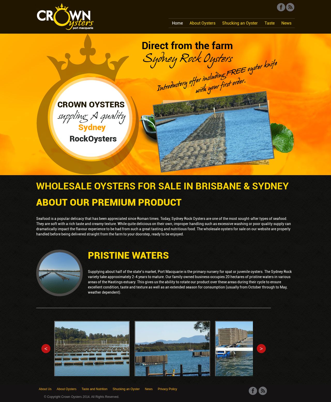 CROWN OYSTERS website
