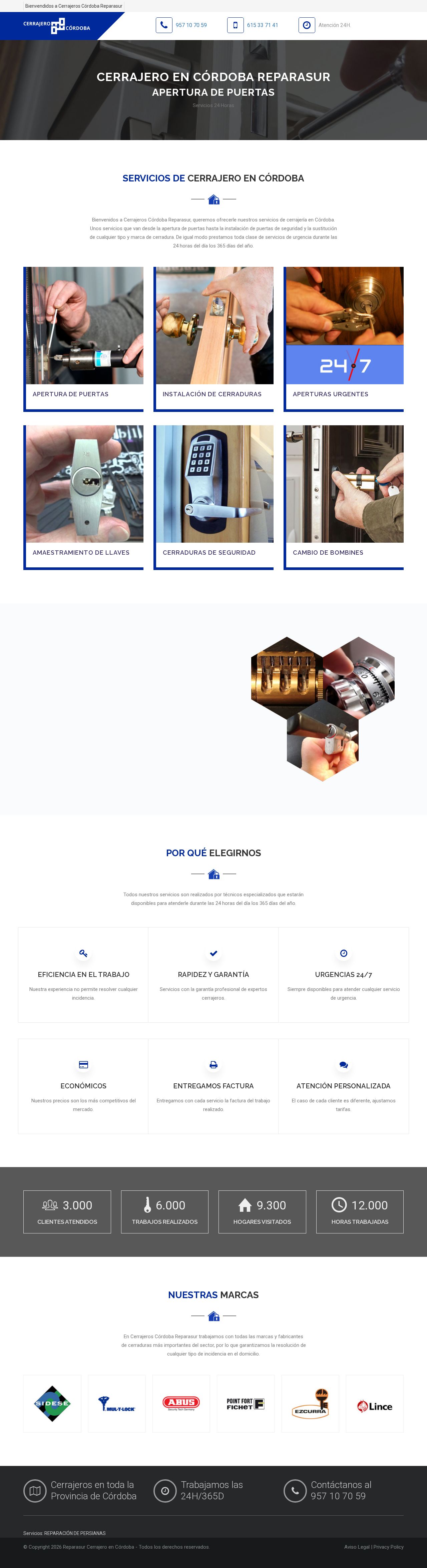 Cerrajero en Cordoba - Reparasur website