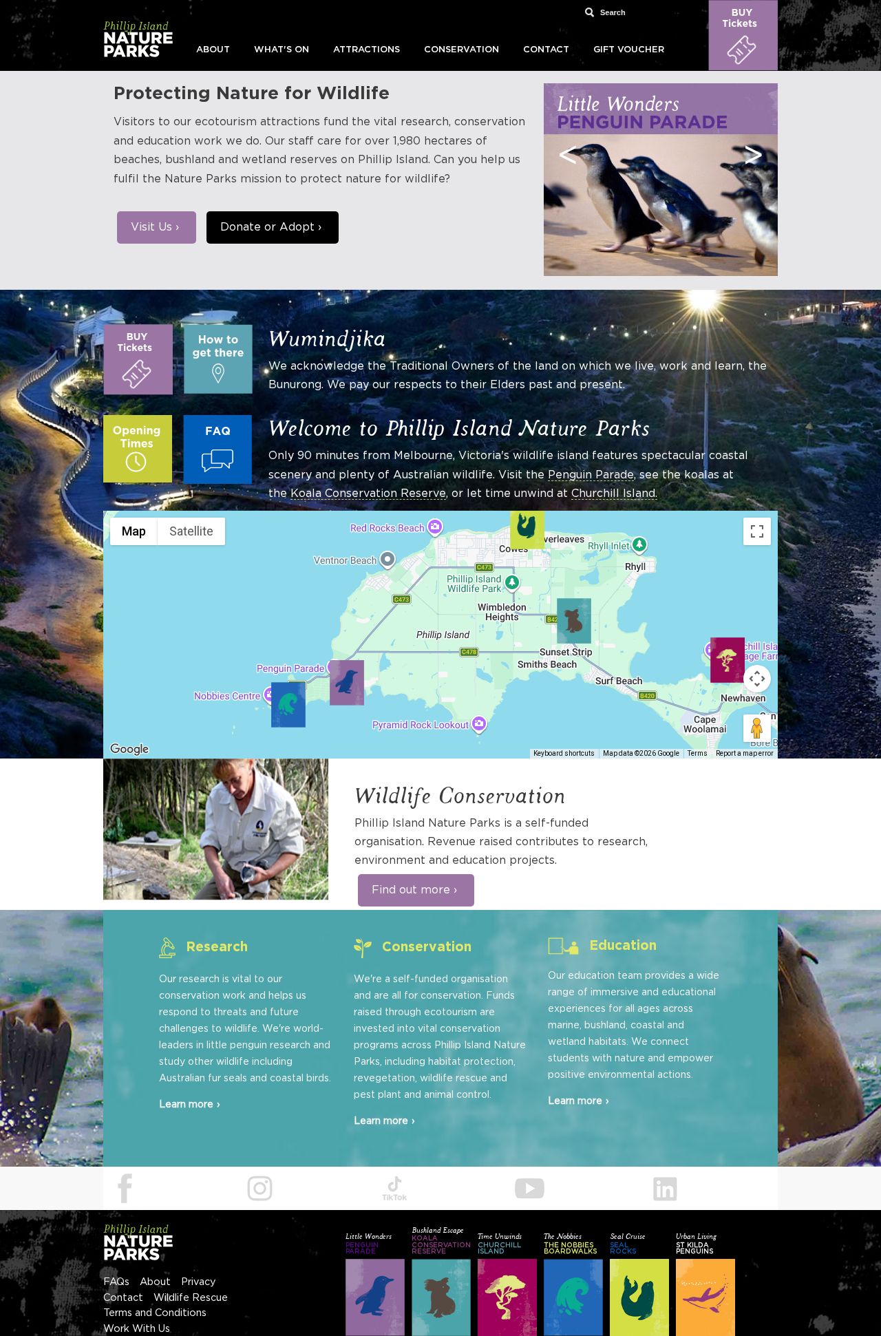 Phillip Island Penguins website