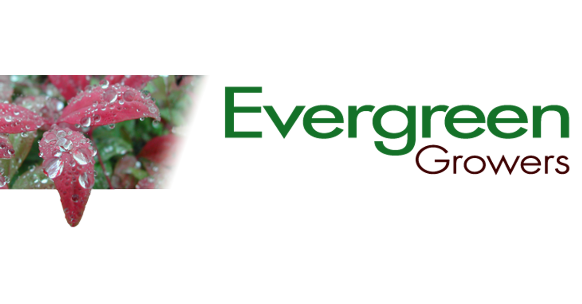 Evergreen Growers cover photo