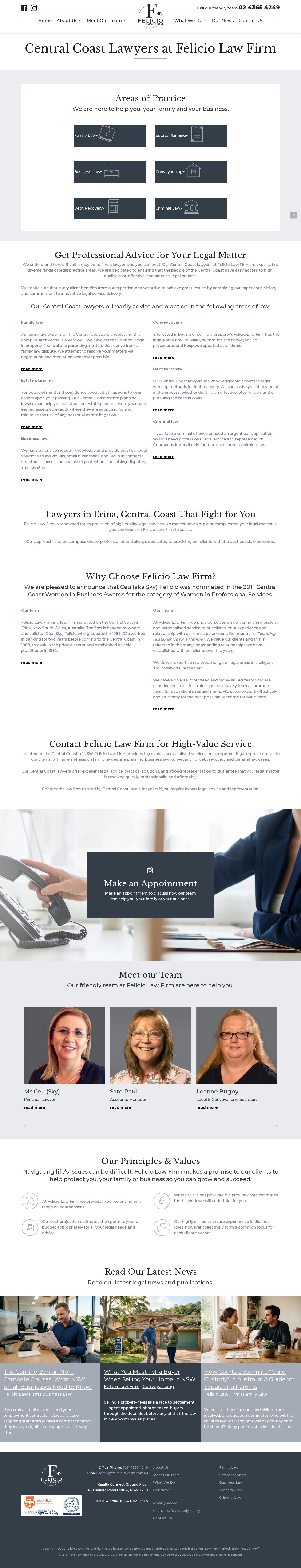 Felicio Law Firm website