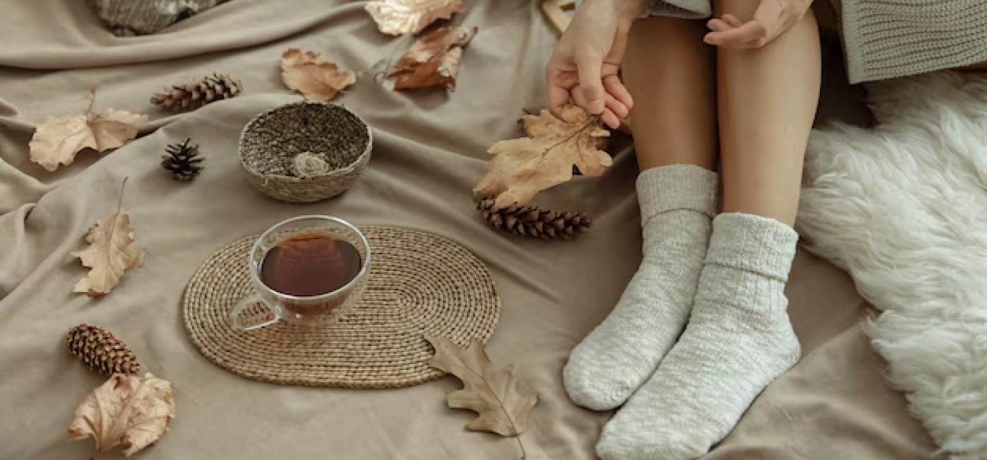 The Sock Manufacturers cover photo