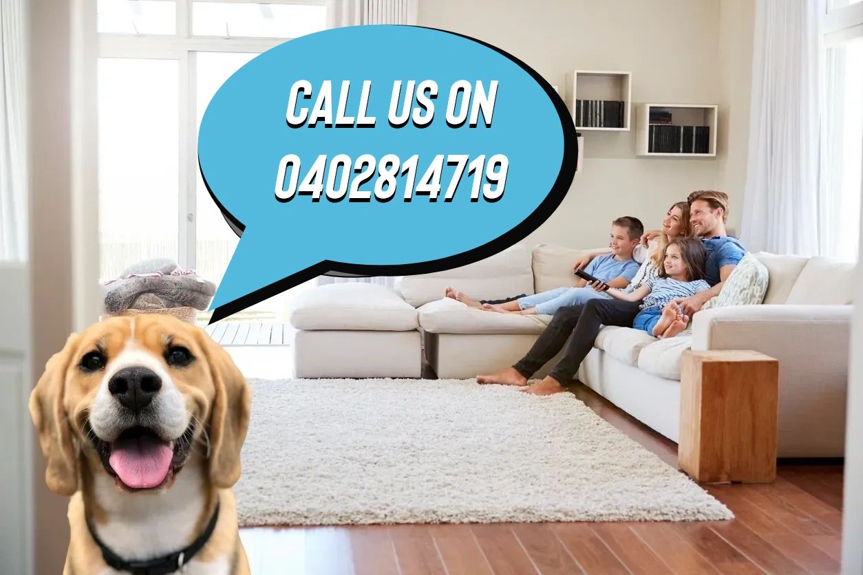 Clean and Tidy Cleaning Services cover photo