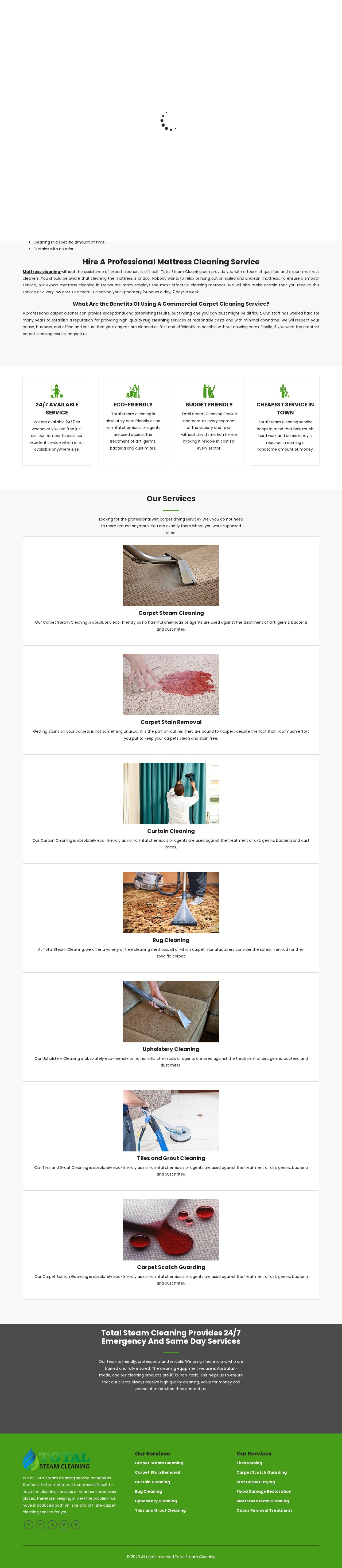 Total Steam Cleaning website