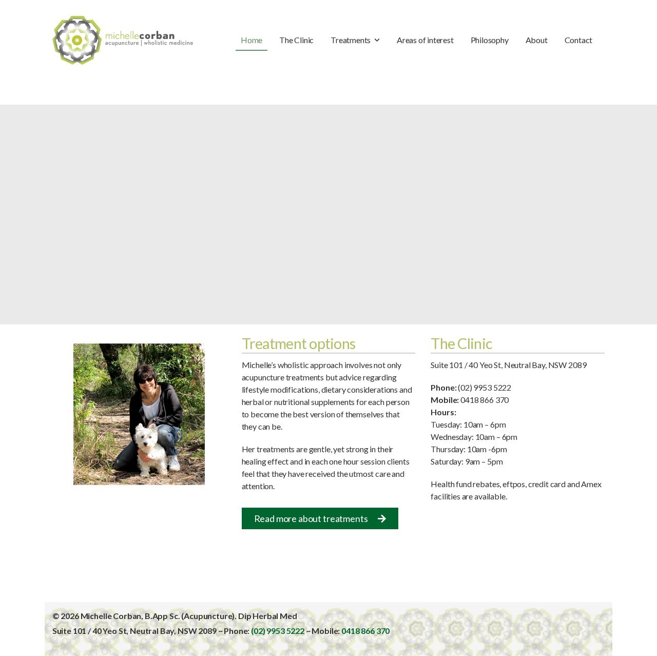 Michelle Corban Acupuncture Wholistic Medicine website