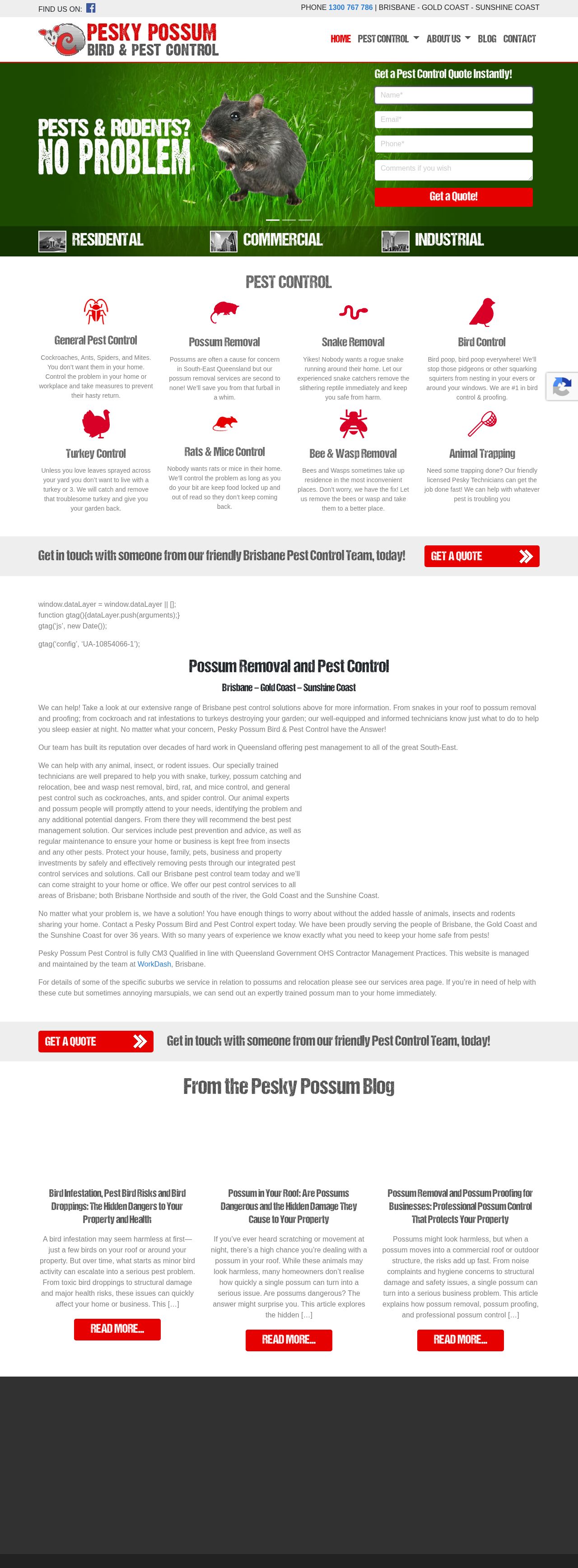 Pest control gold coast website