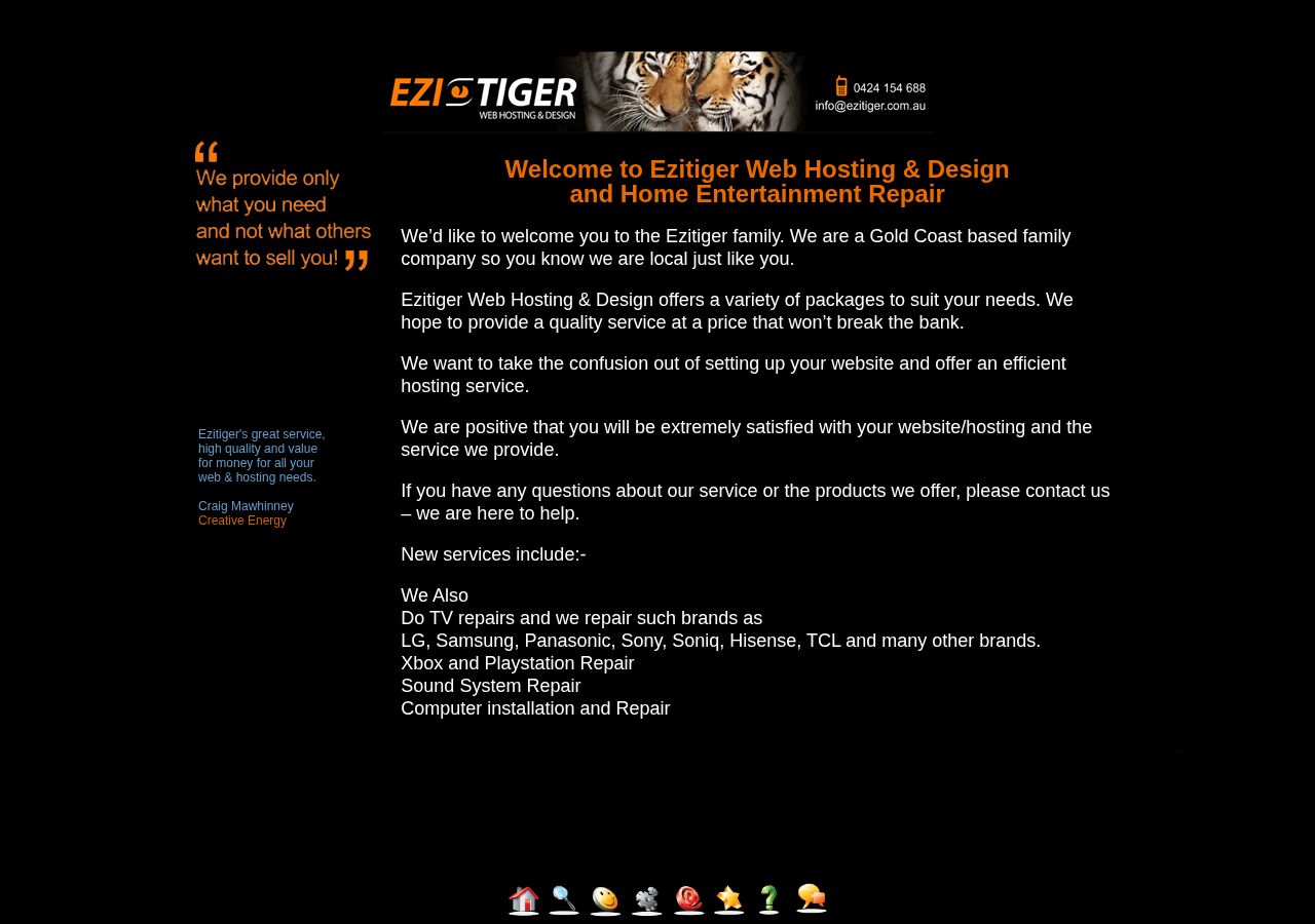 Ezi Tiger Web Hosting & Design website