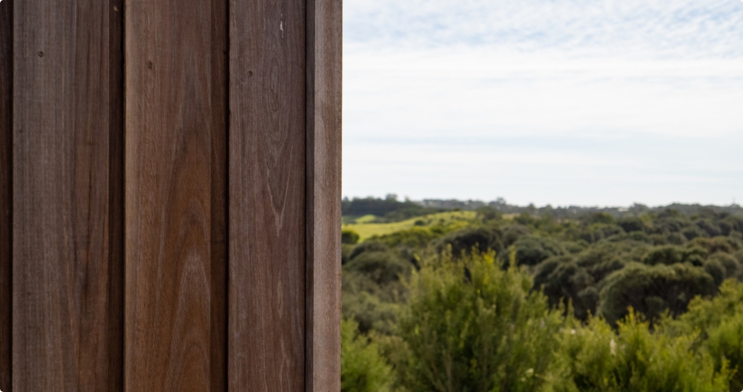 MARKET TIMBERS cover photo