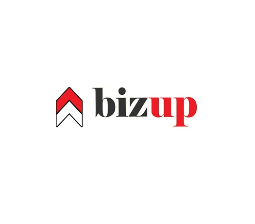 Bizup IT cover photo
