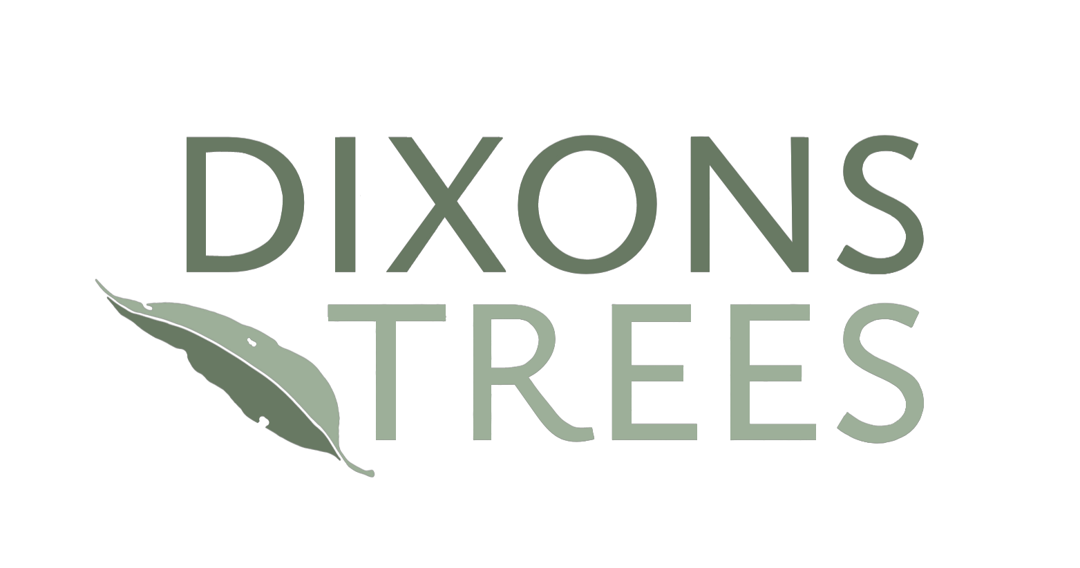 Dixons Trees