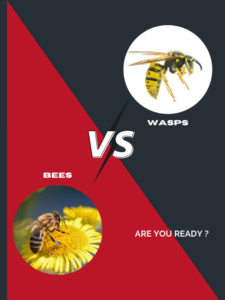 Wasps Control Melbourne cover photo