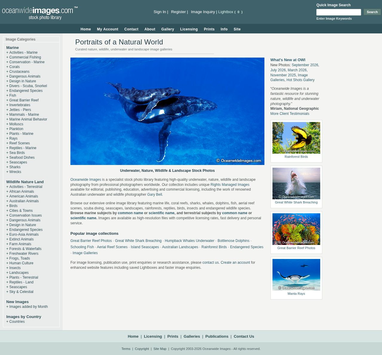 Oceanwide Images website